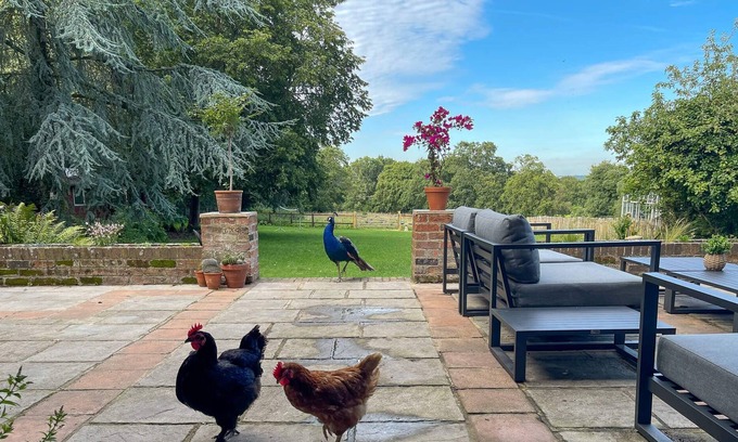 New Forest District Cottage | Big farmhouse gives guests proper coast and country living..