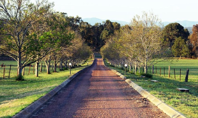 Pokolbin House | Blueberry Hill Vineyard Stay