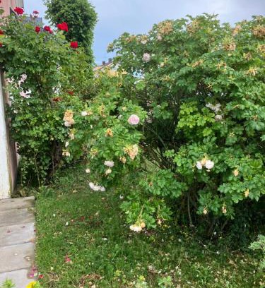 Borgholm Apartment | Borgholm Centralt