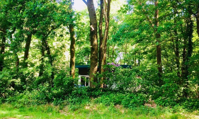 Beesel Cottage | Boshuisje In the middle of nowhere