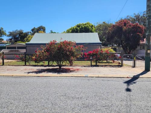 Rangeway House | Bottlebrush Retreat Geraldton