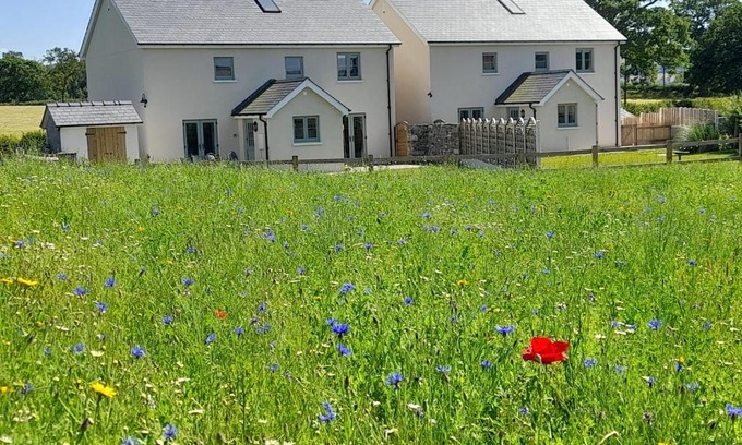 Llandovery Apartment | Brecon Beacons Cottage with Stunning Country Views