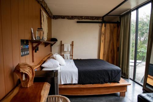 Tulum City Center Hotel | Bufo Alvarius