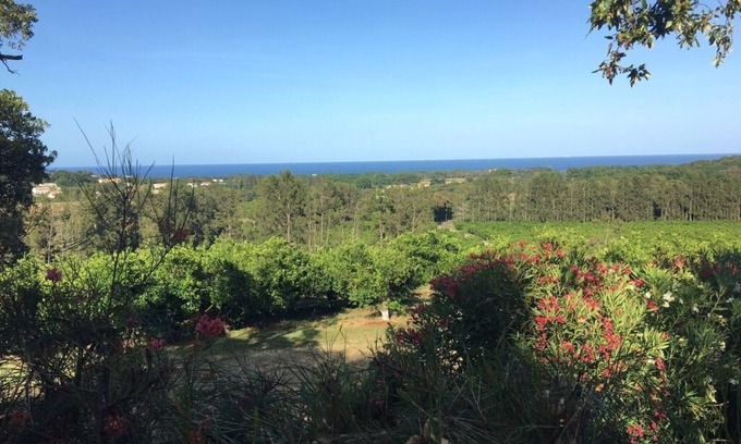 San-Nicolao House | Bungalow au Milieu des Clémentiniers Face à la mer