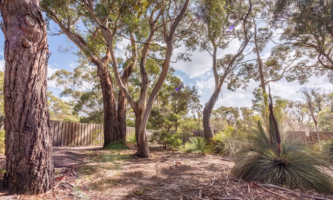 Binalong Bay House | Bush Hideaway