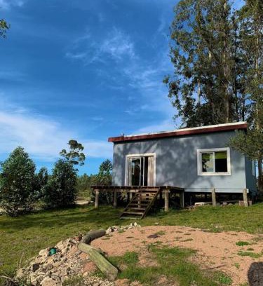 Maldonado Department House | Cabaña de Campo, Chacra Gaia