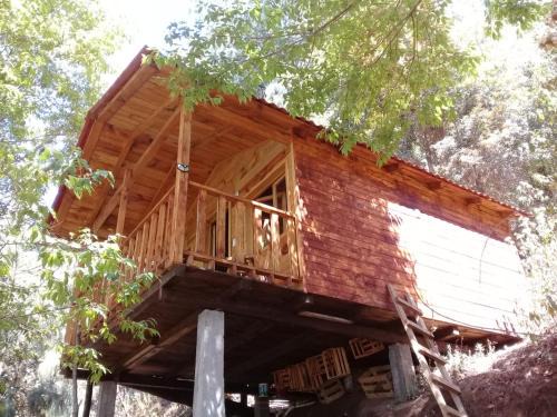 San Jose del Pacifico Other | Cabaña en el Bosque de San José del Pacifico 2