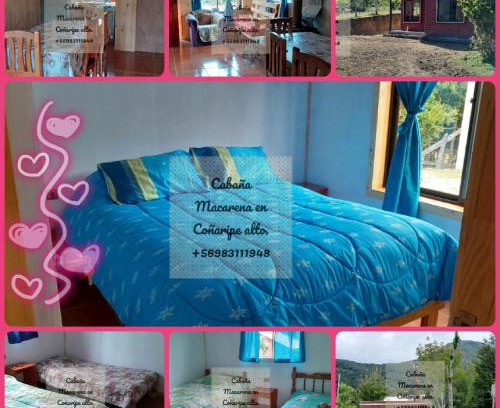 Panguipulli Apartment | Cabañas,Buena vista.