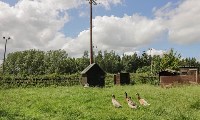 Acton Scott Cottage | Cabin ∙ 2 bedrooms ∙ 5 guests