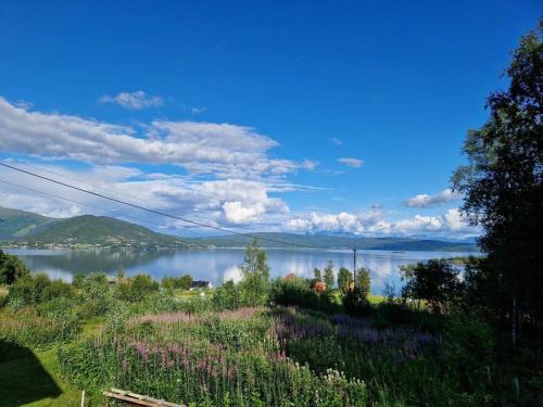 Evenes House | Cabin with lovely view