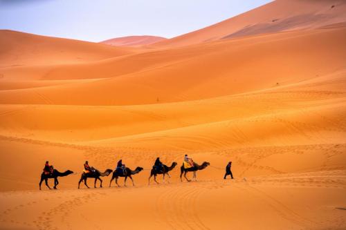 Merzouga Hotel | Camp Sahara ayour