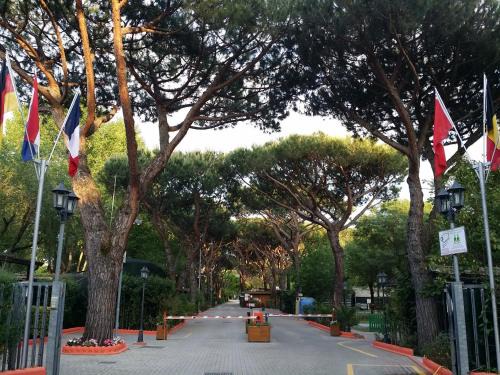 Marina di Massa Other | Camping Dal Pino