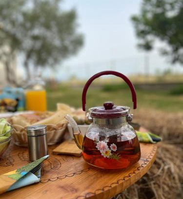 Grile Other | Camping villa lake shkodra