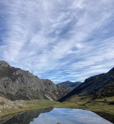 Puebla de Lillo House | Casa Abedul