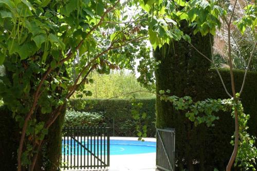 Almansa Villa | Casa en el campo con encanto