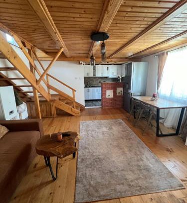 Bunesti House | Casa Iuliana