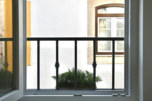 Constancia House | Casa Lusíadas