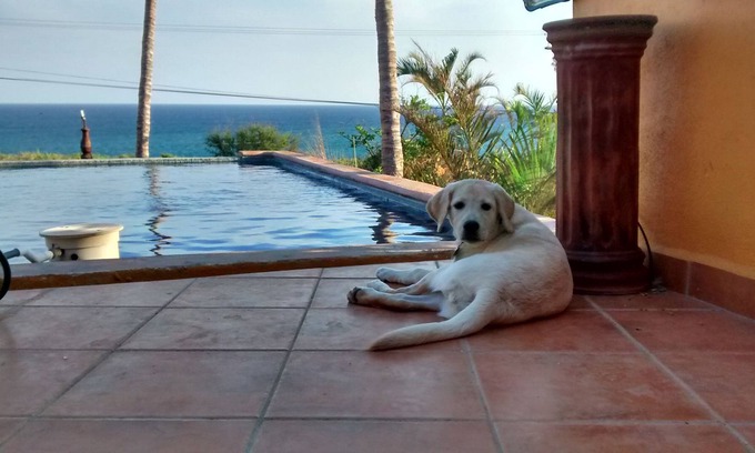 San Jose del Cabo Resort | Casa Mango in Palapas Resort, San Jose Del Cabo, across from beach, OPEN & SAFE