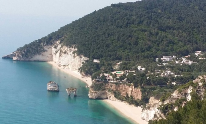 Mattinata Apartment | CASA OLIVO relax in the green near the sea