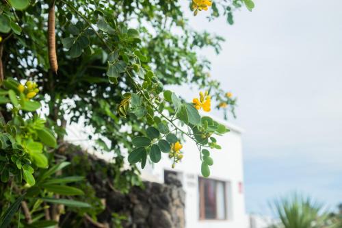 Tajaste House | Casa Rural Yeyo en el cráter del volcán