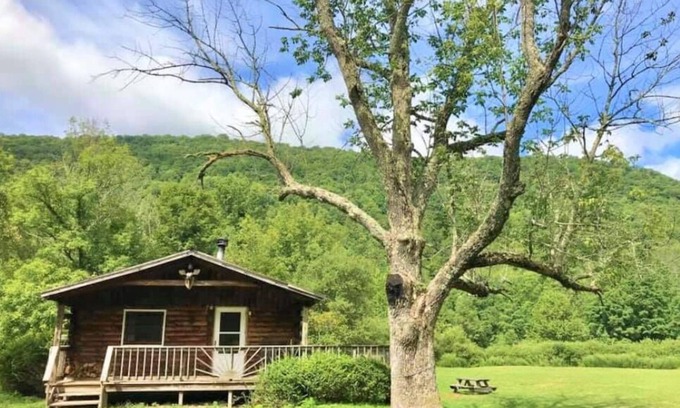 Oliverea Cabin | Catskill Cabin with Fireplace 2 br