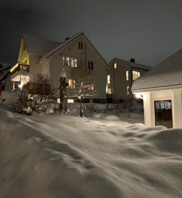 Tromso Apartment | Central Apartment in Down Town Aurora villa