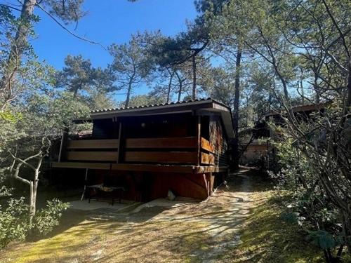 Lege-Cap-Ferret Ski Chalet | Chalet Carcans-Maubuisson, 2 pièces, 6 personnes - FR-1-648-115