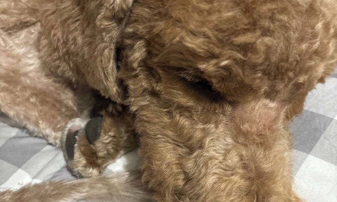 Islip Cottage | Charming 1-bedroom cottage in tranquil Islip with AC