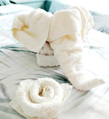 Rugby House | Charming 3 Bedroom Home