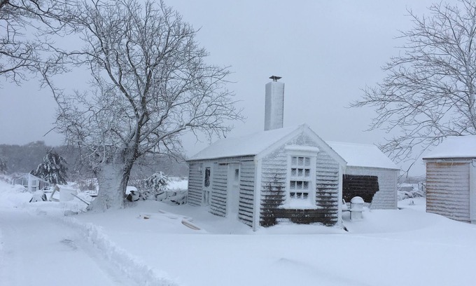 Adamsville Cottage | Charming cottage on goat farm in picturesque Westport