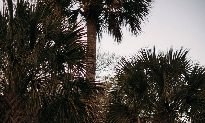 Folly Beach Cottage | Charming designer owned 1940 cottage on Folly. Romantic retreat. Renovated 2020