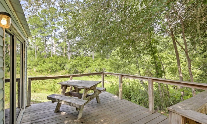 Silver Springs Cabin | Charming Silver Springs Cabin w/Forest Views!