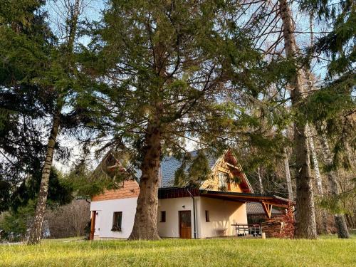Dolna Lehota Ski Chalet | Chata v Lesíku