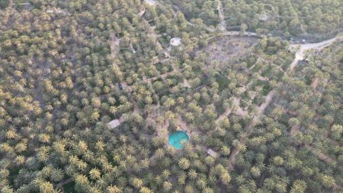 Tozeur Other | Coco Oasis Resort Camping Maison d hotes