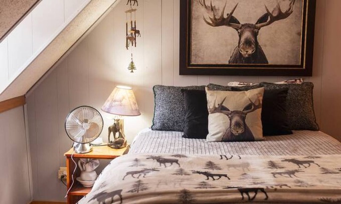 Silverton Apartment | Columbine Roadhouse-4br Mountain Retreat Near Durango