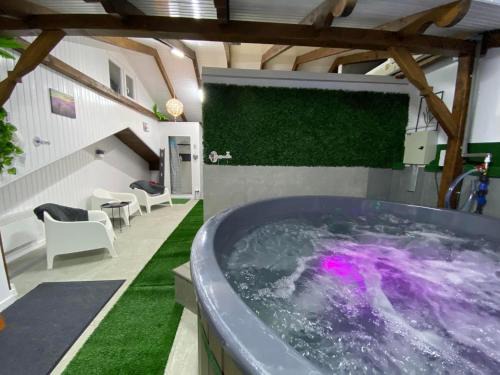 Boghis Other | Complex Turistic Dávid