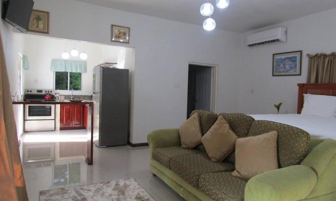 Belmont Apartment | Contemporary Ocean and Garden- view Studio