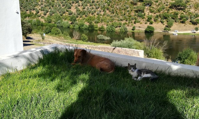 Envendos Cottage | Country house with 2 floors in front of the Tagus River