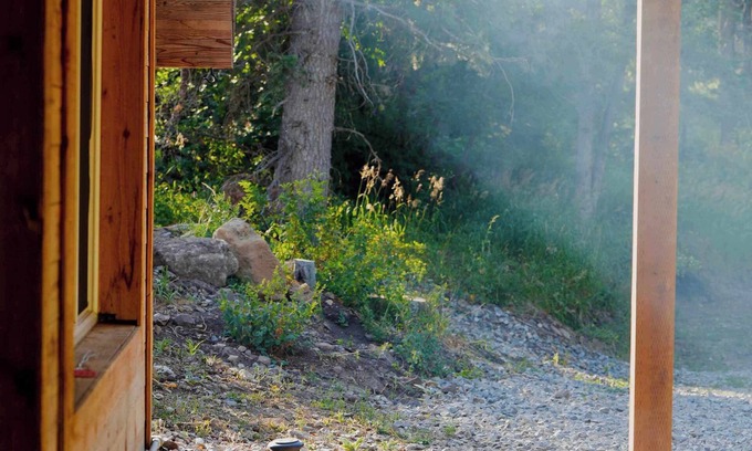 Midway Cabin | Cozy Nature Retreat Cabin with Fireplace