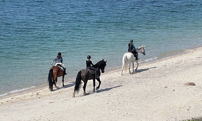 Northville House | Cozy Rustic Cottage overlooking the Long Island Sound