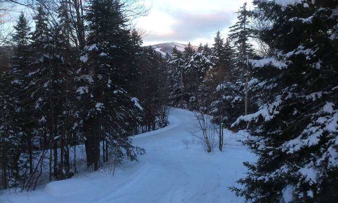West Dover Ski Chalet | COZY TREE LIKE HOUSE. WALK TO MARKET & REST. LOW RATES. 1 MILE TO MT SNOW.
