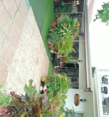 Pointe Larue Apartment | Creole Cottage Homestay