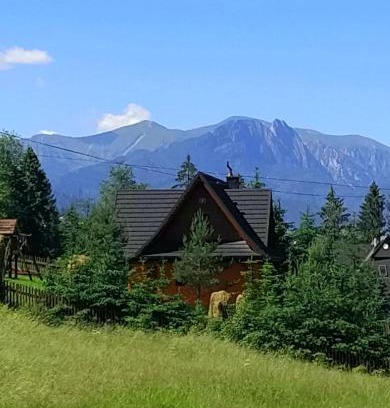 Poronin Ski Chalet | Cyrwony Domek