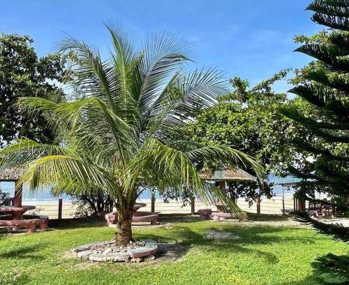 Siquijor Hotel | D's Oceanview Beach Resort