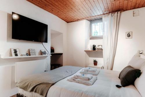 Bellinzona Apartment | Da Carolina by Quokka 360