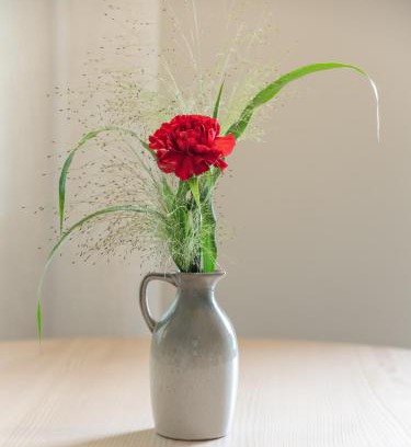 Lana Apartment | Dianthus Apartment