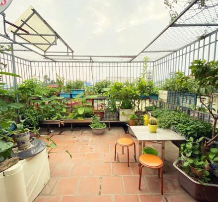 Van Mieu Apartment | Doctor Homestay 6