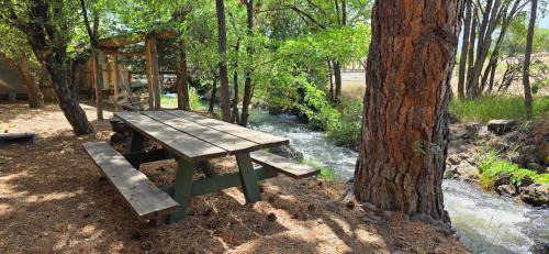 Cedaredge Cabin | Dog Friendly Room with a Queen Bed and Kitchenette at the Cedaredge Lodge