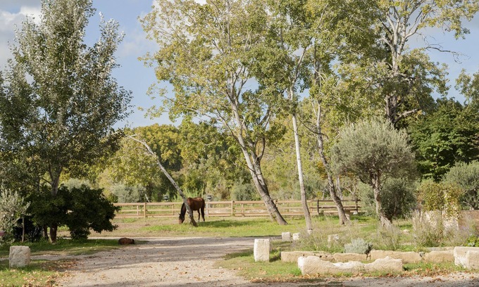 Paradou Other | Domaine Cap Rubis, old oil mill charmingly renovated by an antique dealer.