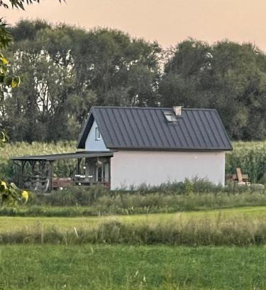 Sejny Apartment | Domek w Polu